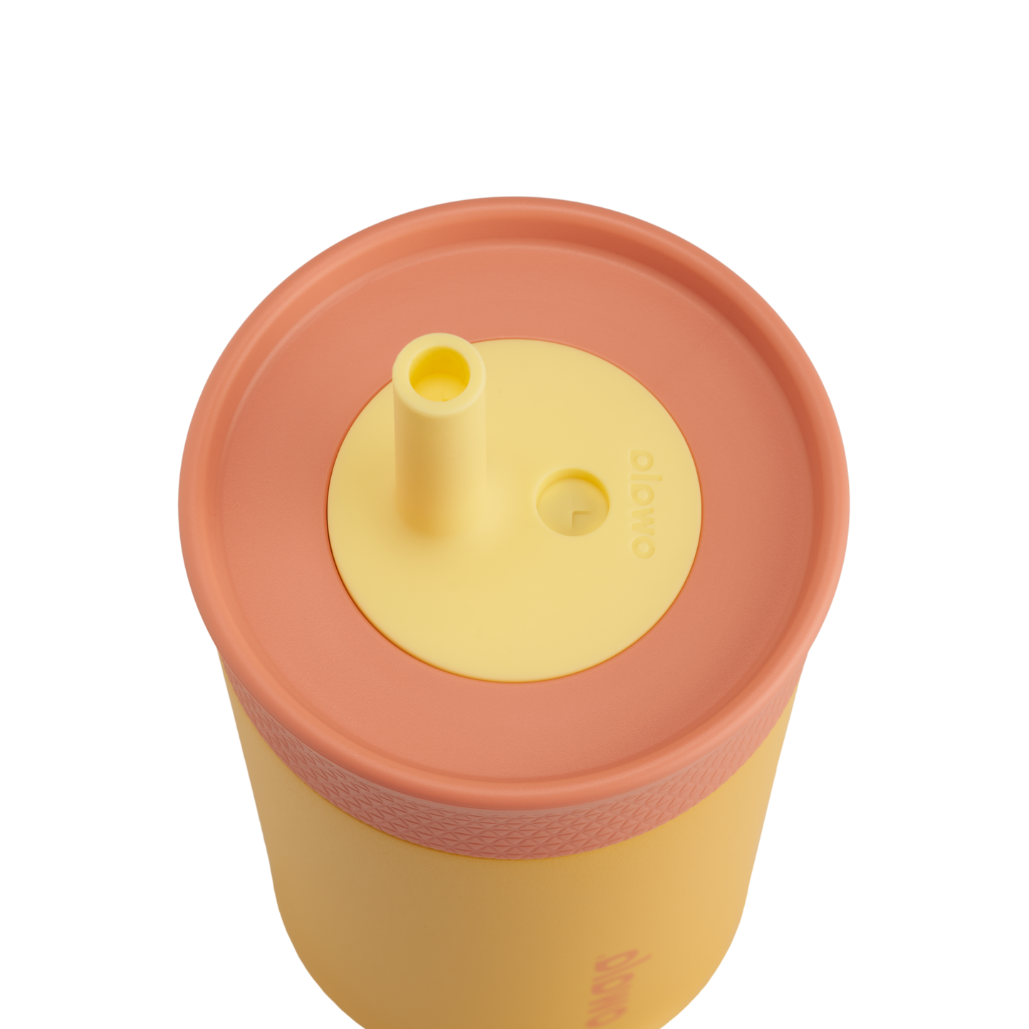 Kids¡¯ Tumbler Picnic