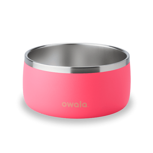 Pet Bowl Hyper Flamingo